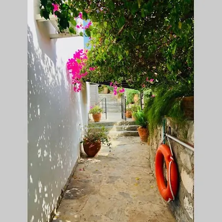 5 Star Private Villa&private Swimming Pool Villa