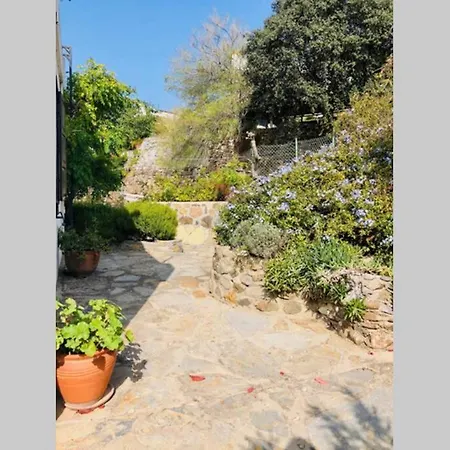 5 Star Private Villa&private Swimming Pool